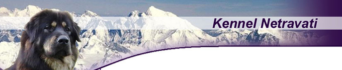 header.jpg