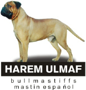 kennel harem ulmaf.jpg