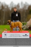 Dogue de Bordeaux BOS, Cara My Guardian z Orizku