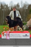 BOB Best In Show 1 place, Tibetan mastiff Foo Sundari