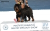 PP, BEST FEMALE BABY, BOBB - Tibetan mastif, Chenporewa Nio Nunnu