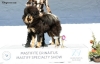 Excellent 1, CQ 2, BOBJ, BEST FEMALE 2, Club Junior Winner, Special price, Best Showdog - Tibetan mastif, Chenporewa Lucky Lucky