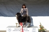 Excellent 1, CQ 1, BEST FEMALE 1, BOS, Special price Best Head and Coat, Club Winner 2013 - Tibetan mastiff, Chenporewa Hum Harsha of Kunzang