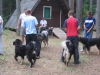 id18_072506_212328_img_7020