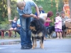 id20_072506_221309_jul25237