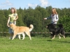id37_080308_233953_7