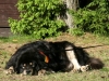 id40_070109_020923_21