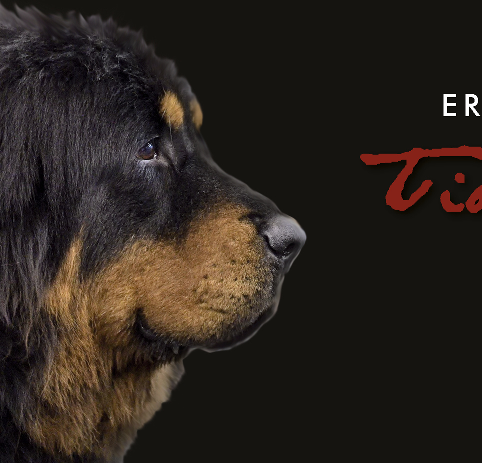 TIIBETI MASTIFI ERINÄITUS / TIBETAN MASTIFF SPECIALTY